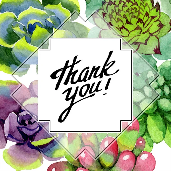 Amazing succulents. Thank you handwriting monogram calligraphy. Watercolor background illustration. Geometric frame square. Aquarelle hand drawing succulent plants. — Stock Photo