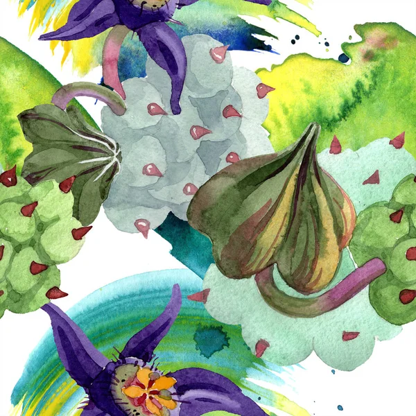 Flores de Duvalia. Ilustración de fondo acuarela. Aquarelle plantas suculentas dibujadas a mano. Patrón de fondo sin costuras. Textura de impresión de papel pintado de tela . - foto de stock