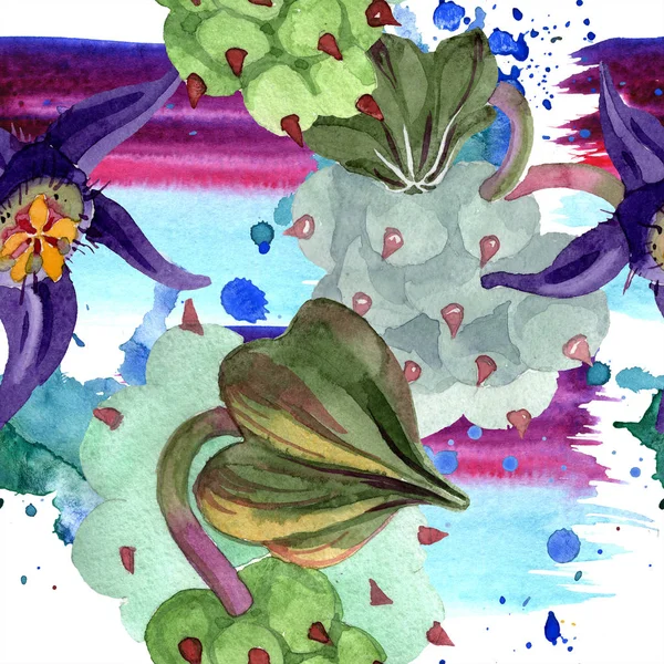 Duvalia fleurs. Illustration de fond aquarelle. Aquarelle plantes succulentes dessinées à la main. Modèle de fond sans couture. Texture d'impression papier peint tissu . — Photo de stock