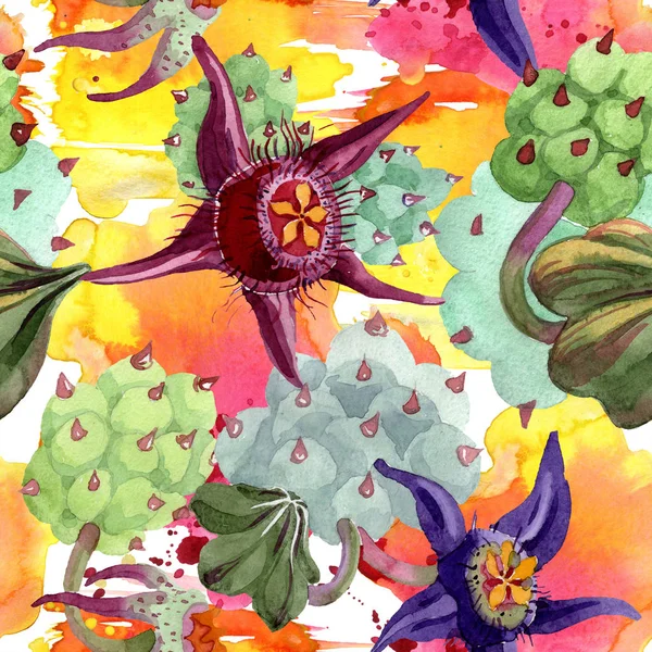 Flores Duvalia. ilustração fundo aquarela. Aquarelle desenhado à mão plantas suculentas. Padrão de fundo sem costura. Tecido papel de parede impressão textura . — Fotografia de Stock