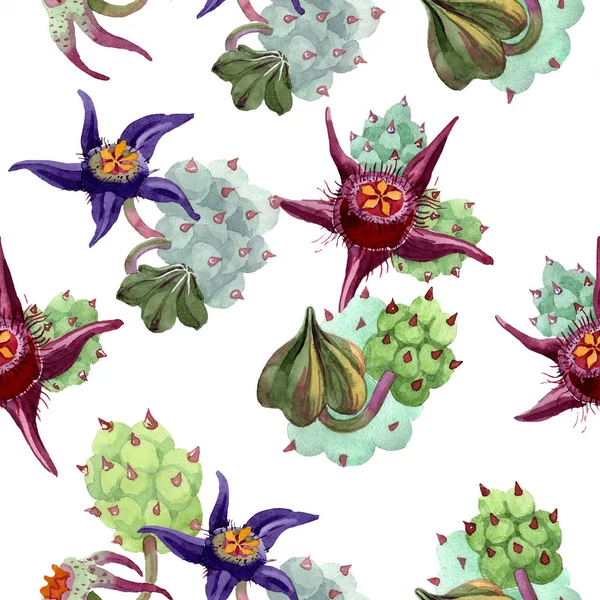 Duvalia flowers. Watercolor background illustration. Aquarelle hand drawn succulent plants. Seamless background pattern. Fabric wallpaper print texture. — Stock Photo