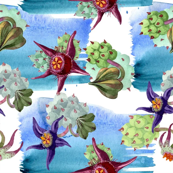 Duvalia flowers. Watercolor background illustration. Aquarelle hand drawn succulent plants. Seamless background pattern. Fabric wallpaper print texture. — Stock Photo