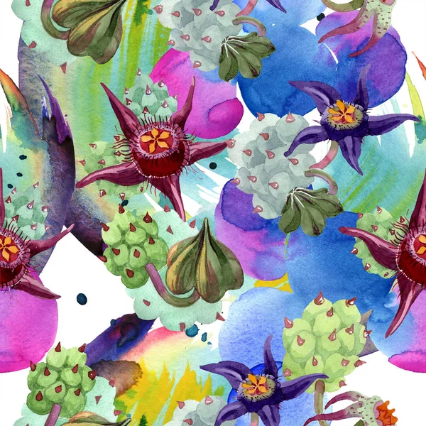 Flores de Duvalia. Ilustración de fondo acuarela. Aquarelle plantas suculentas dibujadas a mano. Patrón de fondo sin costuras. Textura de impresión de papel pintado de tela . - foto de stock