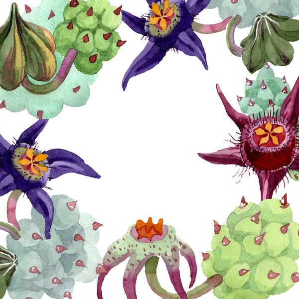 Duvalia flowers. Watercolor background illustration. Aquarelle hand drawn succulent plants. Seamless background pattern. Fabric wallpaper print texture. — Stock Photo