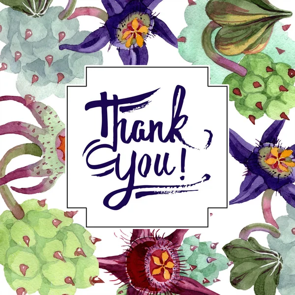 Duvalia flowers. Thank you handwriting monogram calligraphy. Watercolor background illustration. Frame square. Aquarelle hand drawing succulent plants. — Stock Photo