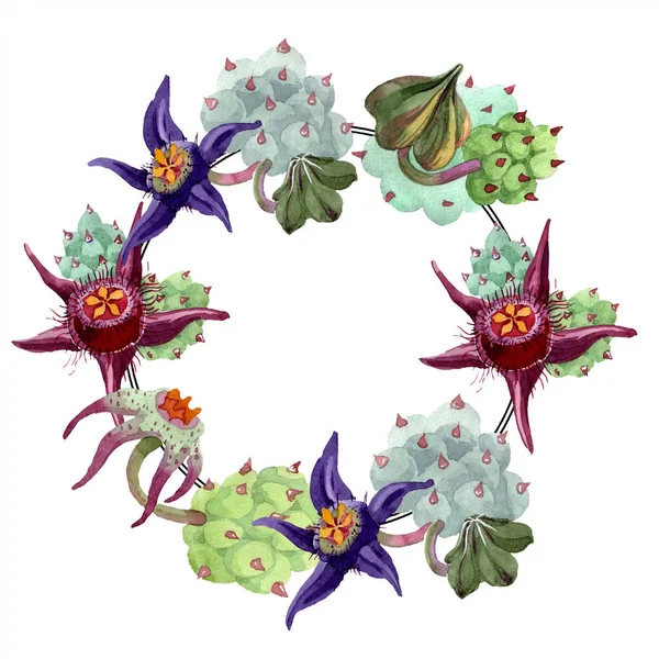 Fiori di Duvalia. Illustrazione acquerello sfondo. Cornice corona ornamento bordo. Aquarelle mano disegno piante succulente . — Foto stock