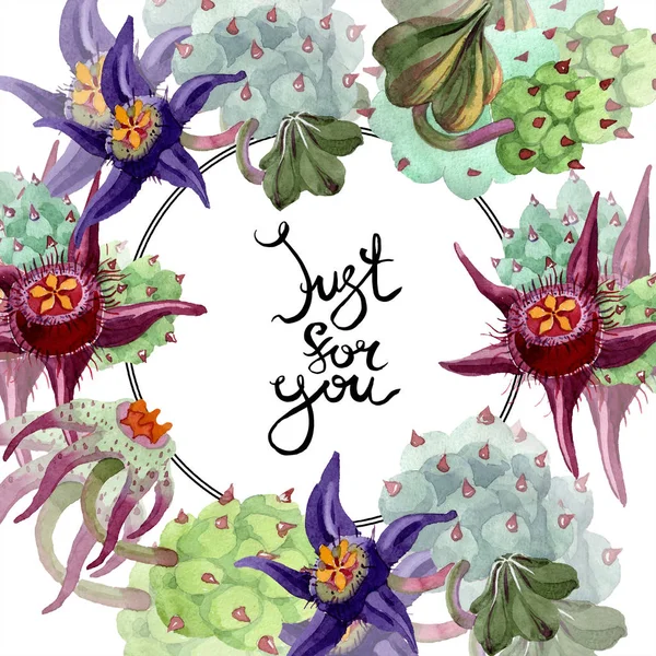 Duvalia flowers. Just for you handwriting monogram calligraphy. Watercolor background illustration. Aquarelle hand drawing succulent plants. — Stock Photo