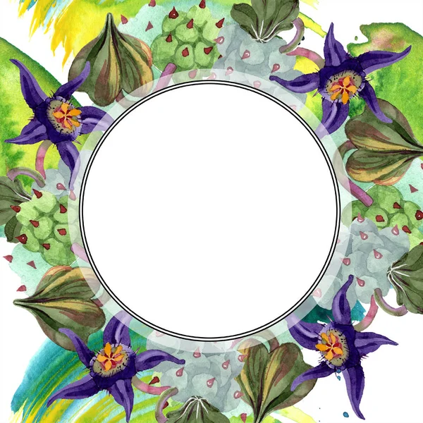 Duvalia flowers. Watercolor background illustration. Frame border ornament round. Aquarelle hand drawing succulent plants. — Stock Photo