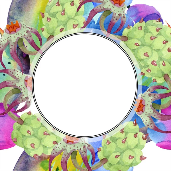 Duvalia-Blumen. Aquarell-Hintergrundillustration. Rahmen Bordüre Ornament rund. Aquarell-Handzeichnung saftige Pflanzen. — Stockfoto