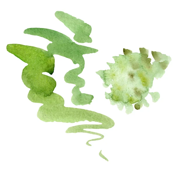 Ginkgo biloba verde com folhas isoladas em branco. Aquarela ginkgo biloba desenho isolado ilustração elemento . — Fotografia de Stock