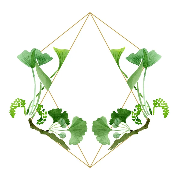 Beautiful green ginkgo biloba with leaves isolated on white. Watercolor background illustration. Watercolour drawing fashion aquarelle isolated on white. Frame border ornament. — Stock Photo