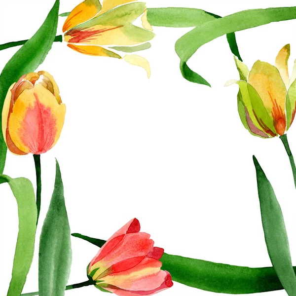 Schöne gelbe Tulpen mit grünen Blättern isoliert auf weiß. Aquarell-Hintergrundillustration. Aquarell zeichnen Mode-Aquarell. Rahmen Bordüre Ornament. — Stockfoto
