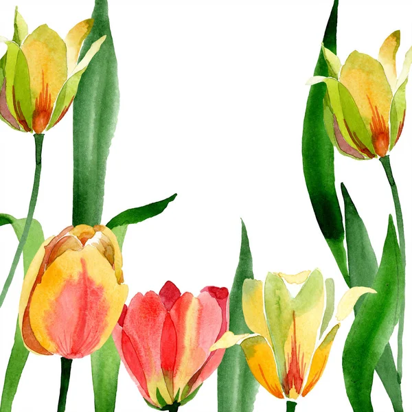 Hermosos tulipanes amarillos con hojas verdes aisladas en blanco. Ilustración de fondo acuarela. Acuarela dibujo moda aquarelle. Marco ornamento frontera . — Stock Photo