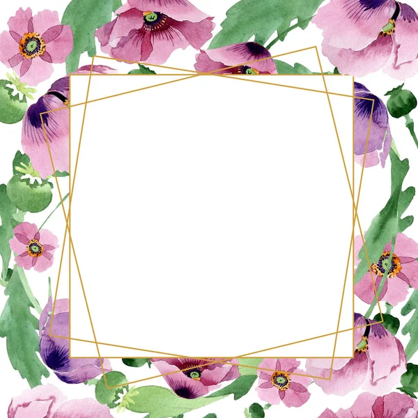 Lindas flores de papoula borgonha isoladas em branco. ilustração fundo aquarela. Aquarelle desenho aquarelle moda isolado papoilas. Ornamento de borda quadro . — Fotografia de Stock