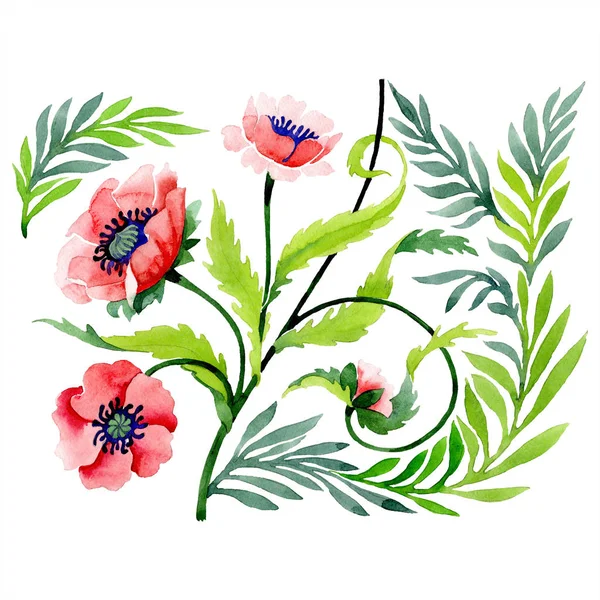 Ornamento con bellissimi papaveri rossi e foglie isolate su bianco. Illustrazione acquerello sfondo. Acquerello disegno moda aquarelle isolato elemento illustrazione . — Foto stock