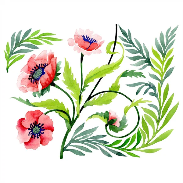 Ornement avec de beaux coquelicots rouges et des feuilles isolées sur blanc. Illustration de fond aquarelle. Aquarelle dessin mode élément d'illustration isolé aquarelle . — Photo de stock