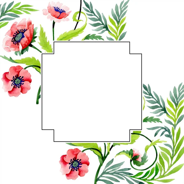 Ornamento com belas papoilas vermelhas isoladas em branco. ilustração fundo aquarela. Aquarelle desenho aquarelle moda. Moldura borda ornamento floral . — Fotografia de Stock