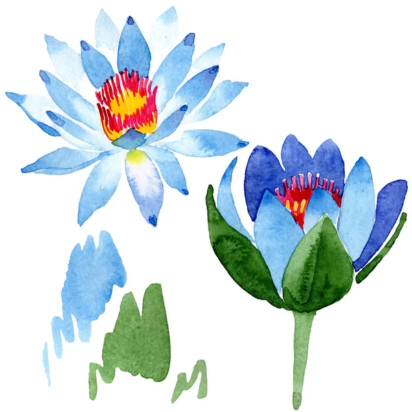 Beautiful blue lotus flowers isolated on white. Watercolor background illustration. Watercolour drawing fashion aquarelle isolated lotus flowers illustration element. — Stock Photo