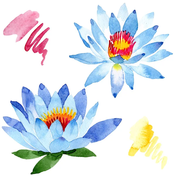 Beautiful blue lotus flowers isolated on white. Watercolor background illustration. Watercolour drawing fashion aquarelle isolated lotus flowers illustration element. — Stock Photo