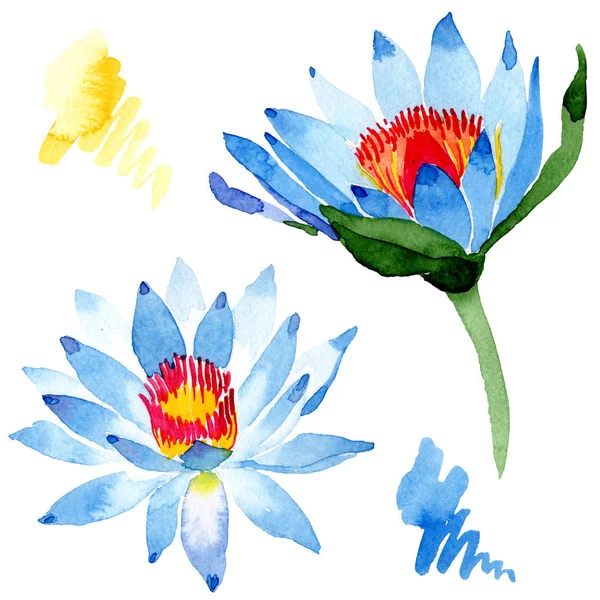 Beautiful blue lotus flowers isolated on white. Watercolor background illustration. Watercolour drawing fashion aquarelle isolated lotus flowers illustration element. — Stock Photo