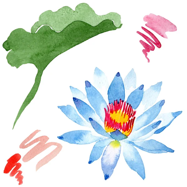 Hermosa flor de loto azul aislada en blanco. Ilustración de fondo acuarela. Acuarela dibujo moda aquarelle aislado elemento de ilustración de loto
. — Stock Photo
