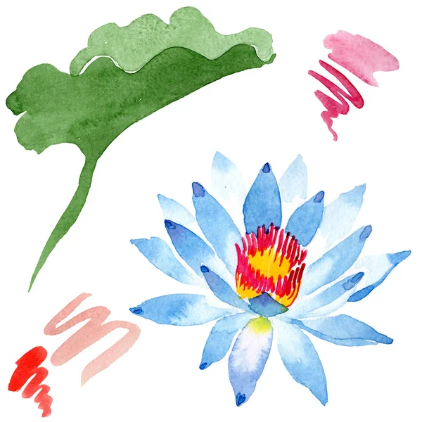 Beautiful blue lotus flower isolated on white. Watercolor background illustration. Watercolour drawing fashion aquarelle isolated lotus illustration element. — Stock Photo