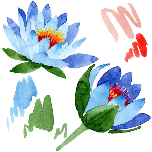 Hermosas flores de loto azul aisladas en blanco. Ilustración de fondo acuarela. Dibujo acuarela moda acuarela flores de loto aisladas elemento de ilustración . - foto de stock