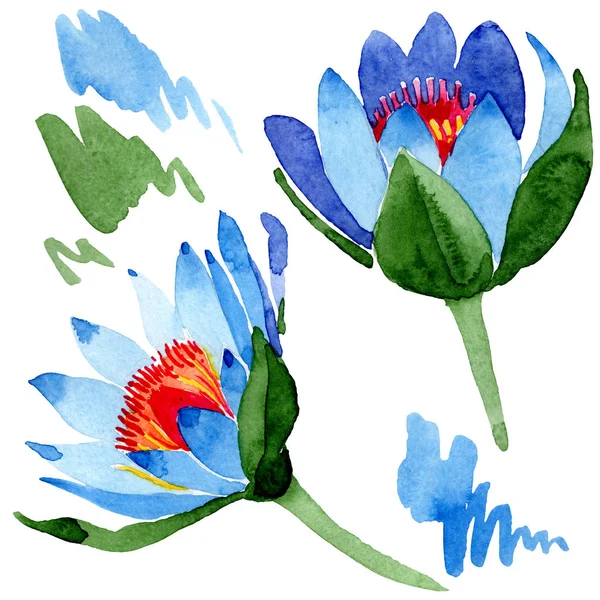Hermosas flores de loto azul aisladas en blanco. Ilustración de fondo acuarela. Dibujo acuarela moda acuarela flores de loto aisladas elemento de ilustración . - foto de stock