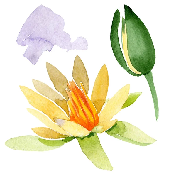 Gelbe Lotusblüten isoliert auf weiß. Aquarell-Hintergrundillustration. Aquarell Zeichnung Mode Aquarell isoliert Lotusblumen Illustration Element — Stockfoto