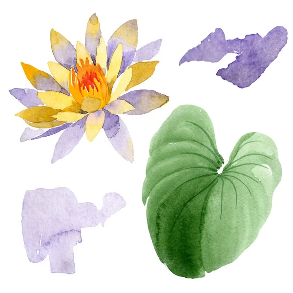 Yellow lotus flower isolated on white. Watercolor background illustration. Watercolour drawing fashion aquarelle isolated lotus illustration element — Stock Photo