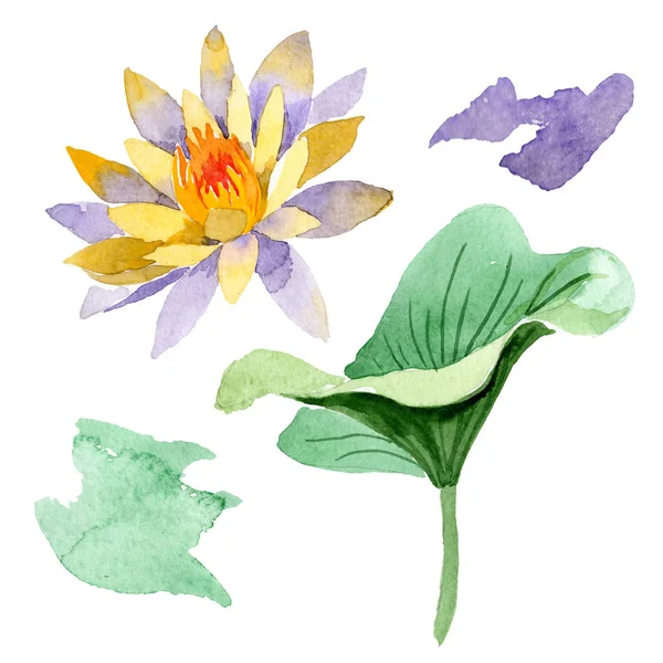 Gelbe Lotusblüte isoliert auf weiß. Aquarell-Hintergrundillustration. Aquarell Zeichnung Mode Aquarell isoliert Lotus Illustration Element — Stockfoto