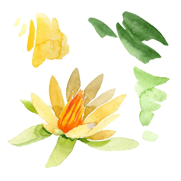 Fleur de lotus jaune isolée sur blanc. Illustration de fond aquarelle. Aquarelle dessin mode aquarelle isolé lotus élément illustration — Photo de stock