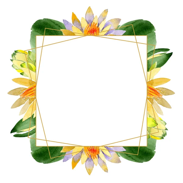 Loto giallo. Fiore botanico floreale. Fiore selvatico primaverile isolato. Acquerello sfondo illustrazione set. Acquerello disegno moda acquerello isolato. Quadrato ornamento bordo cornice . — Foto stock