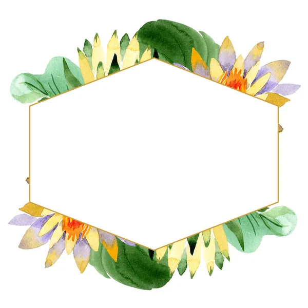 Lotus jaune. Fleur botanique florale. Feuille sauvage de printemps fleur sauvage isolée. Ensemble d'illustration de fond aquarelle. Aquarelle dessin mode aquarelle isolé. Cadre bordure ornement carré . — Stock Photo