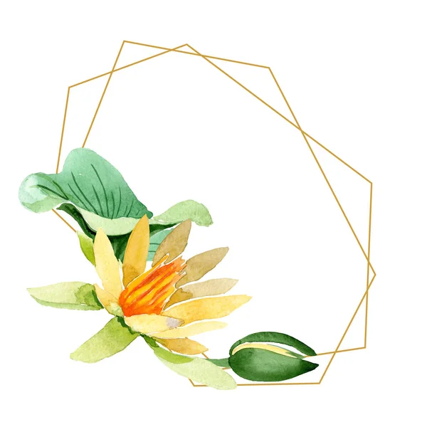 Loto amarillo. Flor botánica floral. Flor silvestre de hoja de primavera aislada. Conjunto de ilustración de fondo acuarela. Acuarela dibujo moda acuarela aislado. Marco borde ornamento cuadrado . - foto de stock