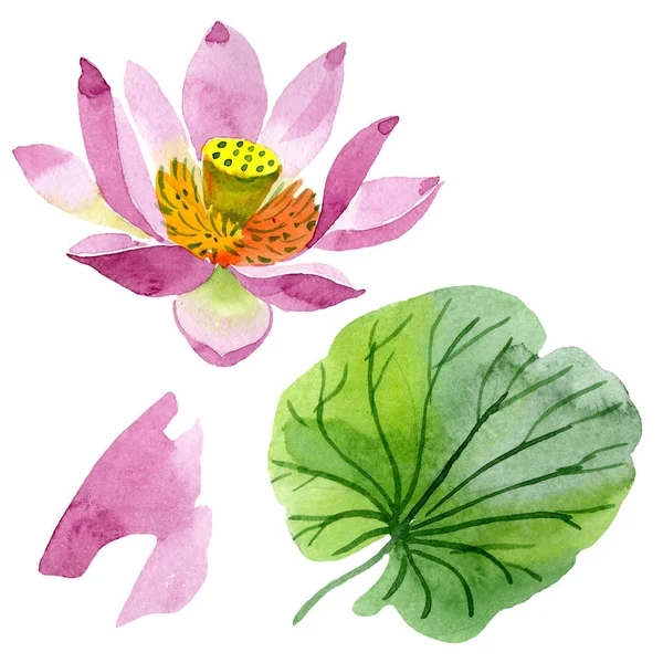 Bellissimo fiore di loto viola isolato su bianco. Illustrazione acquerello sfondo. Disegno ad acquerello moda aquarelle isolato fiore di loto elemento illustrazione — Foto stock
