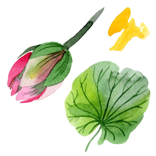 Hermosa flor de loto púrpura aislada en blanco. Ilustración de fondo acuarela. Acuarela dibujo moda aquarelle aislado flor de loto elemento de ilustración - foto de stock