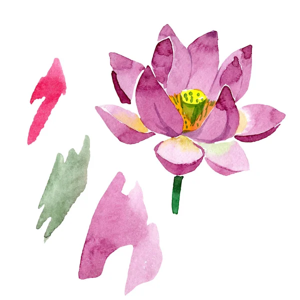 Hermosa flor de loto púrpura aislada en blanco. Ilustración de fondo acuarela. Acuarela dibujo moda aquarelle aislado flor de loto elemento de ilustración - foto de stock