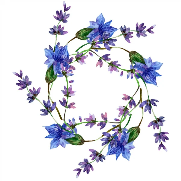 Bellissimi fiori di lavanda viola isolati su bianco. Illustrazione acquerello sfondo. Acquerello disegno moda acquerello. Ornamento bordo cornice . — Foto stock