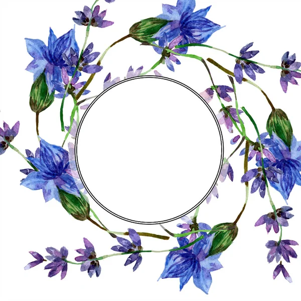 Beautiful purple lavender flowers isolated on white. Watercolor background illustration. Watercolour drawing fashion aquarelle. Frame border ornament. — Stock Photo