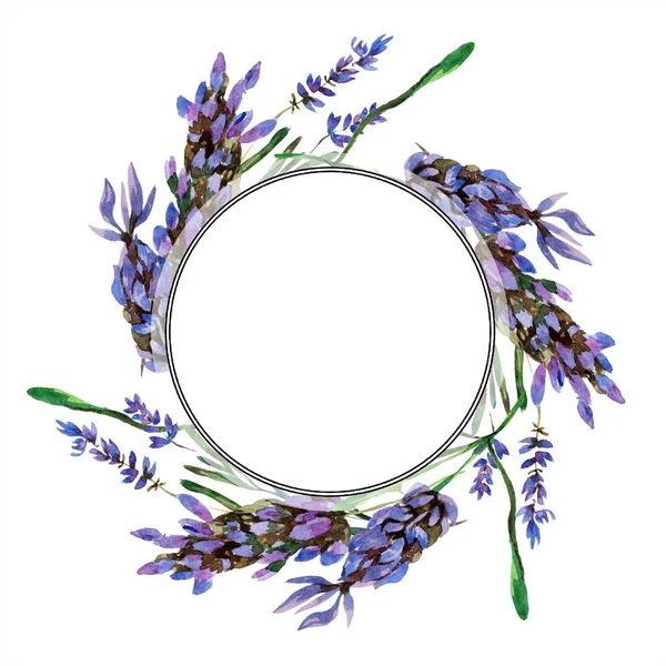 Bellissimi fiori di lavanda viola isolati su bianco. Illustrazione acquerello sfondo. Acquerello disegno moda acquerello. Ornamento bordo cornice . — Foto stock