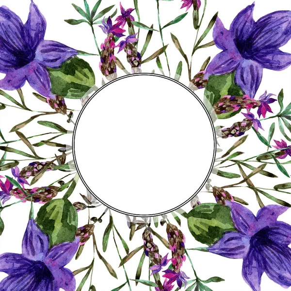 Bellissimi fiori di lavanda viola isolati su bianco. Illustrazione acquerello sfondo. Acquerello disegno moda acquerello. Ornamento bordo cornice . — Foto stock