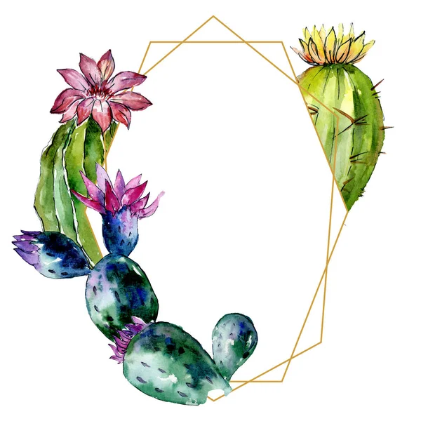 Hermosos cactus verdes aislados en blanco. Ilustración de fondo acuarela. Acuarela dibujo moda aquarelle. Marco ornamento frontera . - foto de stock