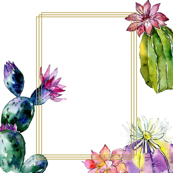 Bellissimi cactus verdi isolati su bianco. Illustrazione acquerello sfondo. Acquerello disegno moda acquerello. Ornamento bordo cornice . — Foto stock