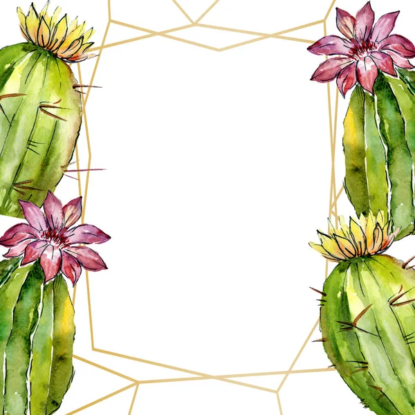 Hermosos cactus verdes aislados en blanco. Ilustración de fondo acuarela. Acuarela dibujo moda aquarelle. Marco ornamento frontera . - foto de stock