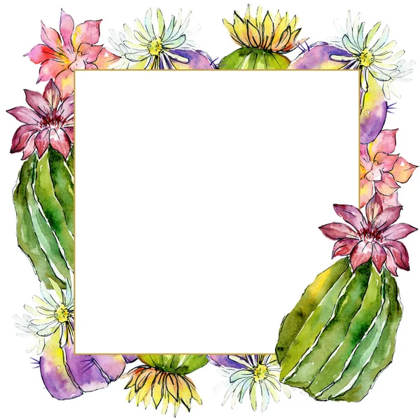 Cactos verdes isolados em branco. ilustração fundo aquarela. Aquarelle desenho aquarelle moda. Ornamento de borda quadro . — Fotografia de Stock