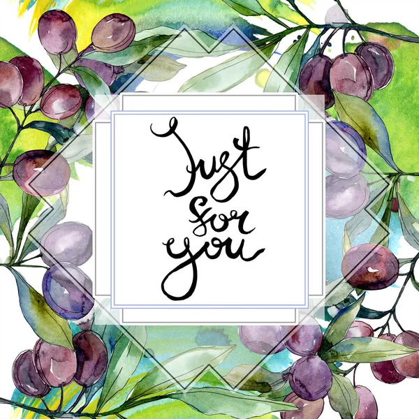 Olives on branches with green leaves. Botanical garden floral foliage. Watercolor illustration on white background. Square frame. Just for you handwriting monogram calligraphy. — Stock Photo