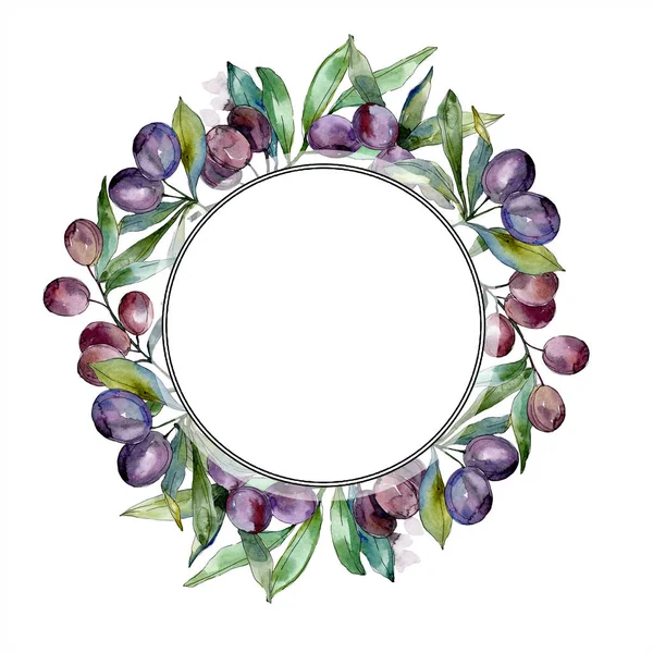 Olives on branches with green leaves. Botanical garden floral foliage. Watercolor illustration on white background. Round frame. — Stock Photo