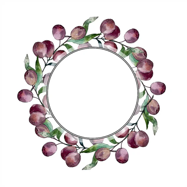 Olive su rami con foglie verdi. Orto botanico fogliame floreale. Illustrazione ad acquerello su sfondo bianco. Telaio rotondo . — Foto stock