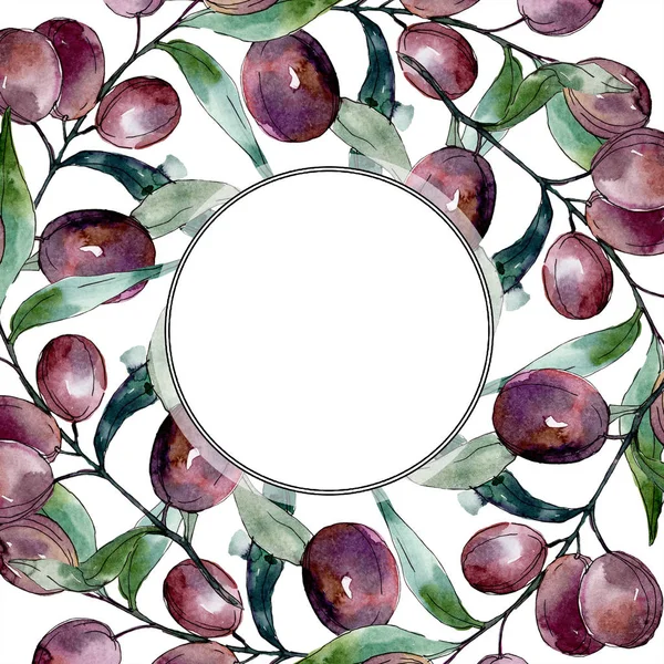 Olives on branches with green leaves. Botanical garden floral foliage. Watercolor illustration on white background. Round frame. — Stock Photo